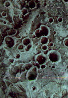 Detail of work by Diane Tulloch